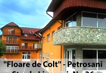 Floare de Colt Petrosani has Balcony rooms