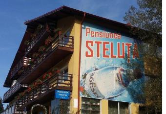 Pensiunea Steluta has Balcony rooms