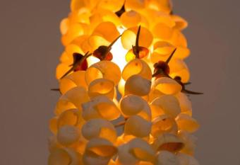 San Fernando, Bacalar Villa Nina Del R  o allows 18 year olds to book a room