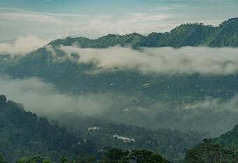 The Woods View has Balcony rooms