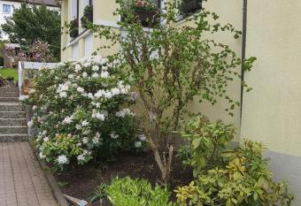 Ferienwohnung Harmonie has Balcony rooms