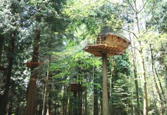 Insolite dans les arbres Les Ormes, Epiniac allows 18 year olds to book a room