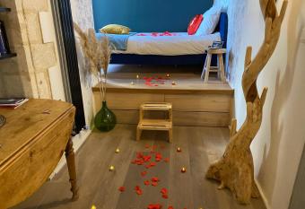 Lovely Avignon - Studio de charme plein centre - proche palais des papes allows 18 year olds to book a room