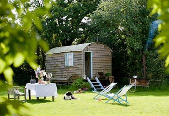 Mollies Hut allows 18 year olds to book a room