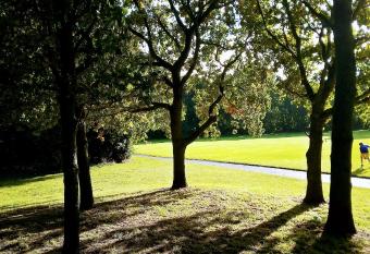 A cosy Dublin room has Balcony rooms