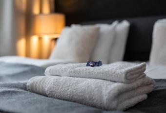 Arctic City Suite has Balcony rooms