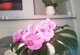 B&B Solimena has Balcony rooms