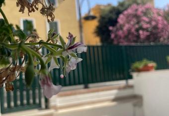 Riviera Albachiara Anzio B&B allows 18 year olds to book a room