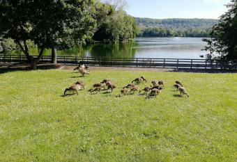 LOUE MAISON ENTI  RE PROPRE ! , Endroit calme,    5 minutes gare mantes la jolie, allows 18 year olds to book a room