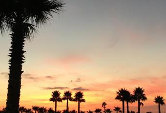 Depto Piso 13 Vista Horizonte Algarrobo has Balcony rooms