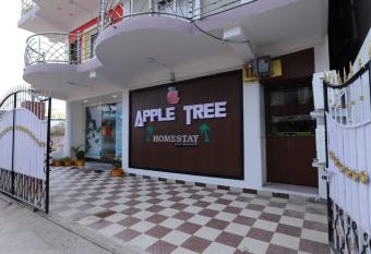 APPLE TREE has Balcony rooms