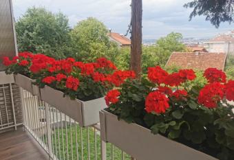 Stay Day has Balcony rooms