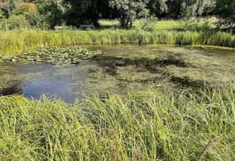 Karma Ferienhaus Fl  ming has Balcony rooms