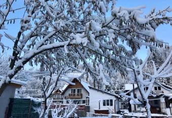 Cabana PODUL DE BRAZI - FIR BRIDGE allows 18 year olds to book a room