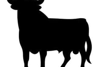 H  tel ryad tetouan a  roport has Smoking rooms