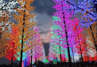 Icity Homestay has Balcony rooms