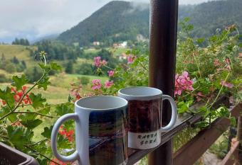 Apartman Skender 3* Ravna Gora has Balcony rooms