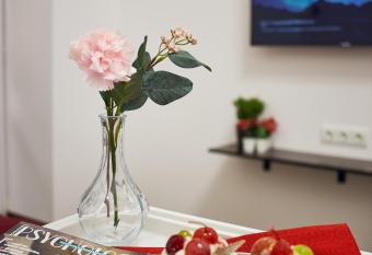 RV Old City Apartment Velyka Vasylkivska,28 allows 18 year olds to book a room