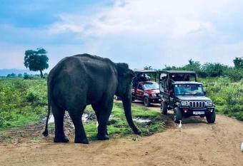 Forest Dew Udawalawa has Balcony rooms