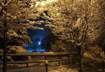 The Green Lake House has Balcony rooms