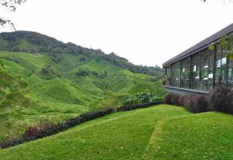 Palas Horizon, 4 Bedroom Apartment has Balcony rooms