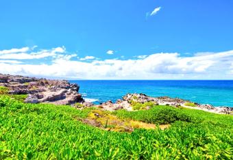 K B M Resorts KBV-30G2 - Ocean front 1bed , 1bath with expansive Kapalua ocean views from balcony allows 18 year olds to book a room