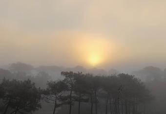 studio    l oc  an au dessus des pins (plage & commerces    pied) has Balcony rooms