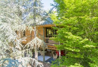 G  te Pont-  -Mousson, La P  pini  re Pagode Asiatique has Balcony rooms