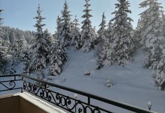 Blue dream 13 has Balcony rooms