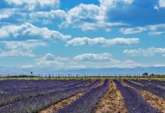                          allows 18 year olds to book a room