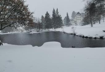 Ferienwohnung Sch  ne Wohnung 2d-Geb  ude mit Mini-garten has Balcony rooms