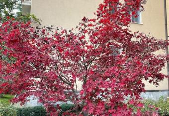 Graziosa casa con balcone has Balcony rooms