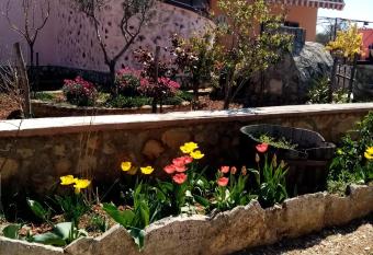 Ana has Balcony rooms