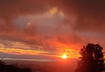 Ocean view has Balcony rooms