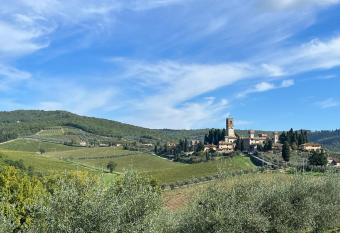 Il Fiorino di Badia has Balcony rooms