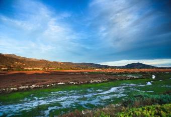 Holiday Inn Express & Suites Carpinteria By IHG allows 18 year olds to book a room