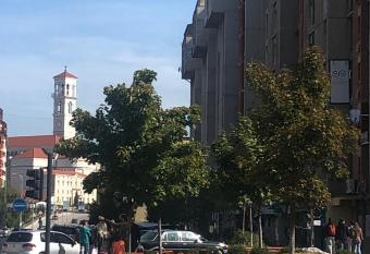 Lion Apartment - close to Prishtina center has Balcony rooms