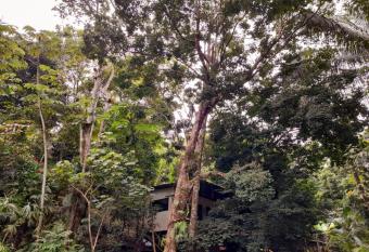 Casa Escondida Jungle View has Balcony rooms