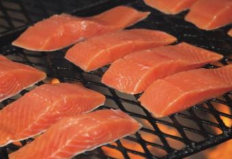 Suite Rock near glacier and Auke Bay harbor -DISCOUNTS ON TOURS! allows 18 year olds to book a room