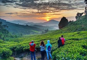 100 Backpackers Hostel allows 18 year olds to book a room