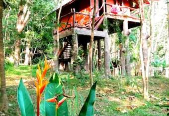 Garden View Treehouse : Treehouse Holidays has Balcony rooms