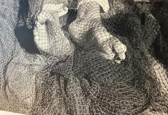 Espetacular Eduardo Chao 10 allows 18 year olds to book a room