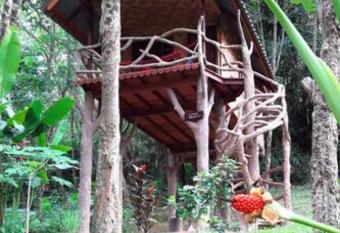 Love Nest Treehouse : Treehouse Holidays has Balcony rooms