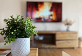 Ferienwohnung - 100m von der Talstation Aletsch Bahnen und Bahnhof Fiesch, BESTE Ausgangslage has Balcony rooms