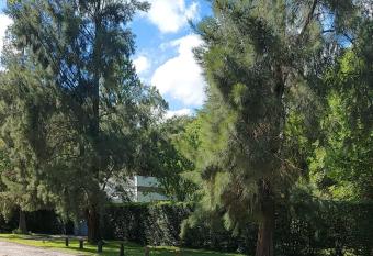 Caba  as Montoya allows 18 year olds to book a room