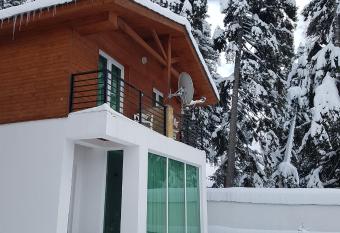 Villa Kokhta Bakuriani has Balcony rooms