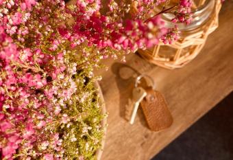 Your Hygge Home allows 18 year olds to book a room