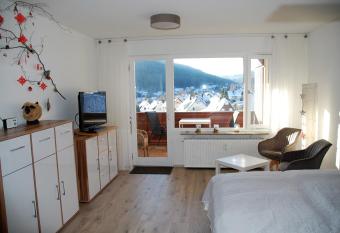 Ferienwohnung mit Aussicht allows 18 year olds to book a room