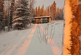 Northwoods Cottage Bed and Breakfast has Balcony rooms