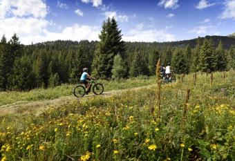 La Grive FAMILLE & MONTAGNE appartements 2 pi  ces 6pers montagne ALP by Alpvision Residences has Balcony rooms